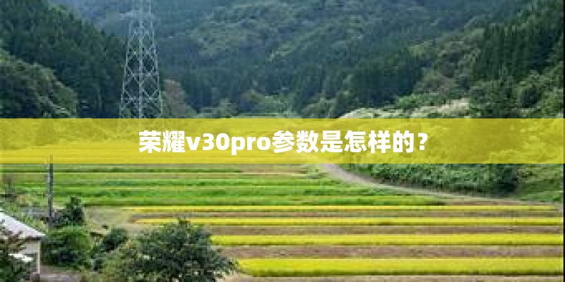 荣耀v30pro参数是怎样的？