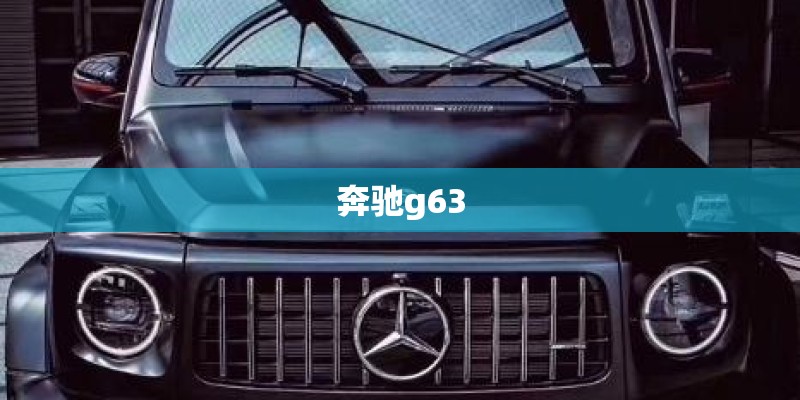 奔驰g63