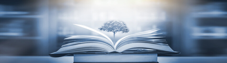 怎么挑选乒乓球球拍子