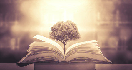 国产车逆袭发展之路