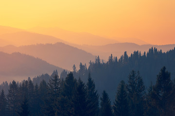 伦敦奥运中国30金得主分别是谁-