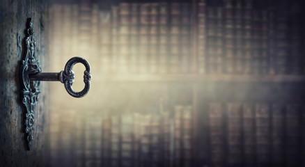 乒乓球区角活动介绍