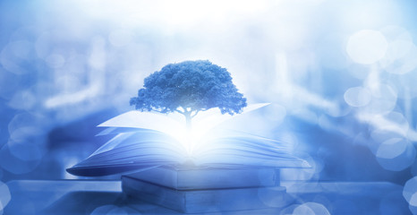 买国产车真的没面子吗？