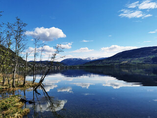 长安马自达是国产车吗-