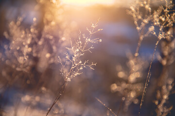 国产车逆袭发展之路