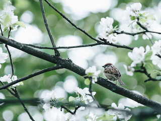 国产车比亚迪真的如你想象中的那么好吗？