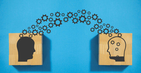 国产车逆袭发展之路