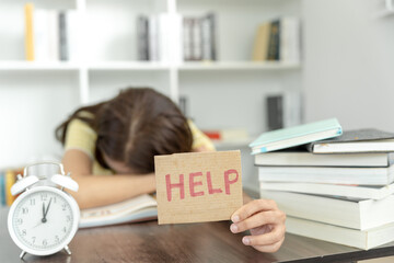 长安马自达是国产车吗-