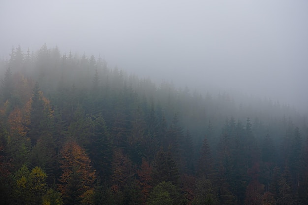 乒乓球桌子安装教程