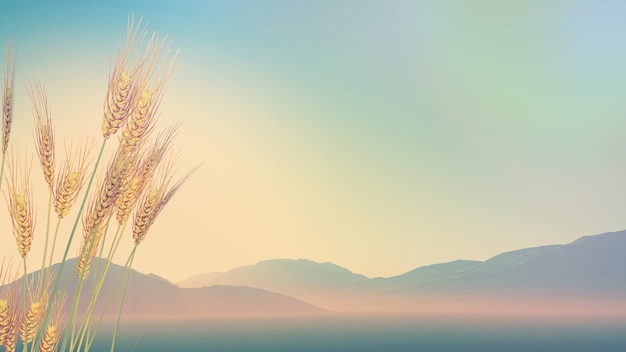 大学乒乓球体育选修课具体学什么？