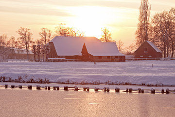 大学乒乓球体育选修课具体学什么？