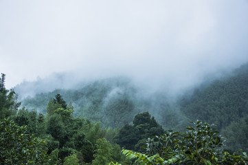 乒乓球运动中如何高抛发球